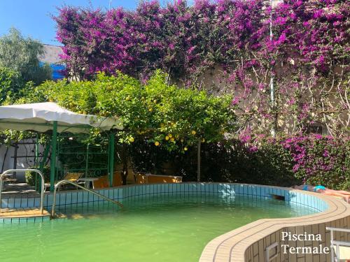 Villa Ciccio - image 7