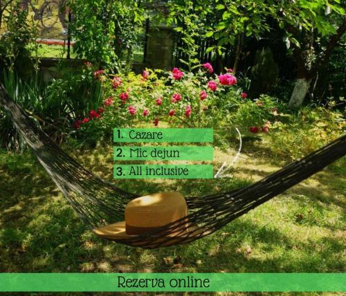 Accommodation in Oraş Slãnic