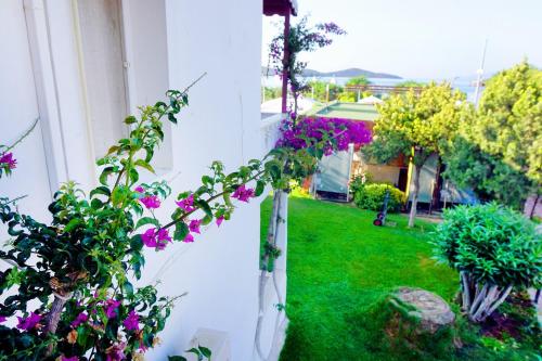 富豪酒店 富豪酒店