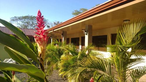 Hotel D'Lucia - Quebrada Ganado, Jaco, Costa Rica