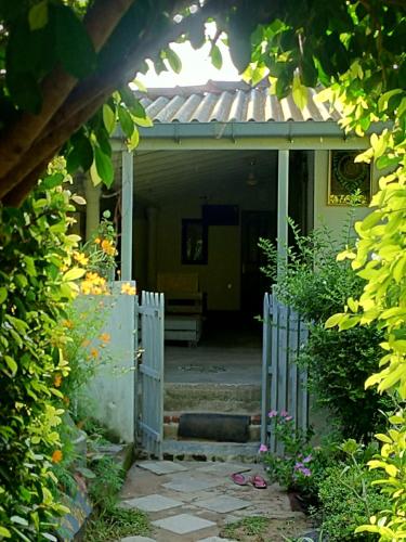 Green Bird - Mirissa