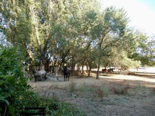 La Resinera La Resinera