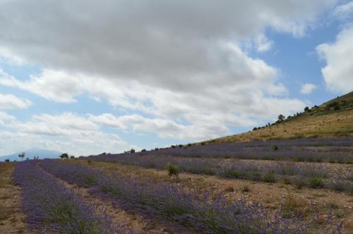 Las Abadías