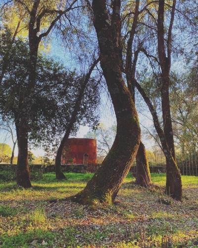 La Resinera La Resinera