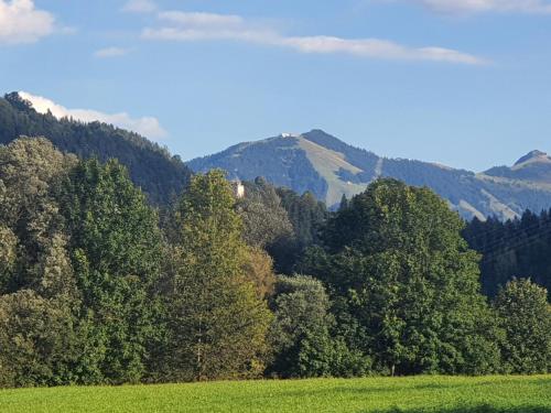 Glück auf - Ferienhaus zum Rauchfangkehrer