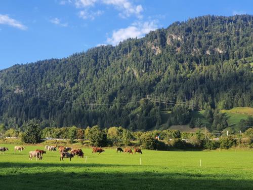 Glück auf - Ferienhaus zum Rauchfangkehrer