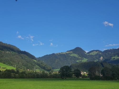 Glück auf - Ferienhaus zum Rauchfangkehrer