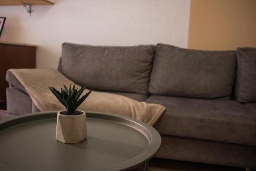 Heart of the City - Comfortable Stay, Tirana (photo 6)