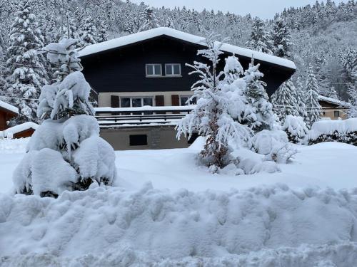 Chalet des Hauts Sapins la Bresse - Location, gîte - La Bresse