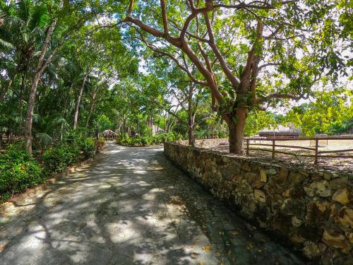 Omgeving, The Mayan Garden in Orange Walk