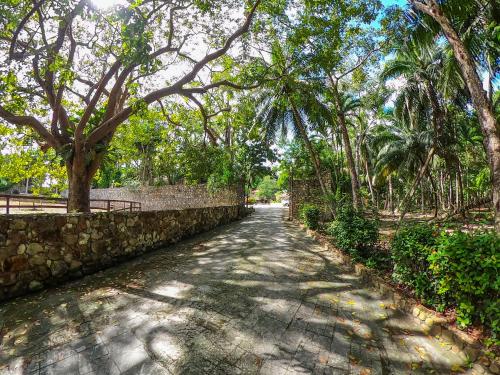 Omgeving, The Mayan Garden in Orange Walk