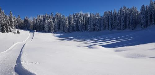 Le Plein Soleil