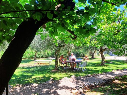 唐费德里科乡村旅馆