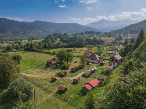 Camp &Apartmens Scepanovic in Polja