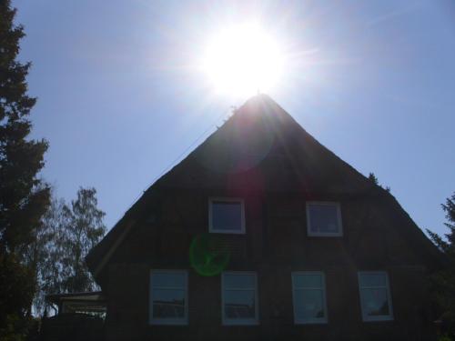 . Alte Försterei