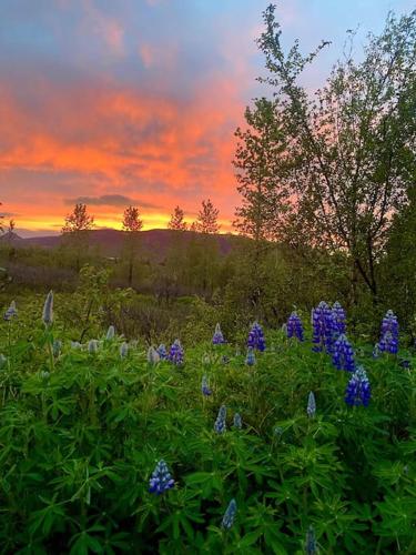 A környék, Luxury cottage located in the Golden Circle, mountain view! in Laugarvatn