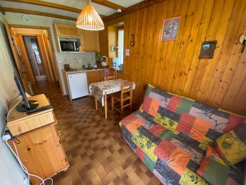 Studio Châtel, 1 pièce, 4 personnes - FR-1-693-100