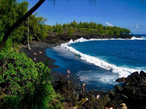 Pahoa Tropical Garden Getaway Room Type - Two-Bedroom Apartment Pahoa Tropical Garden Getaway Room Type - Two-Bedroom Apartment