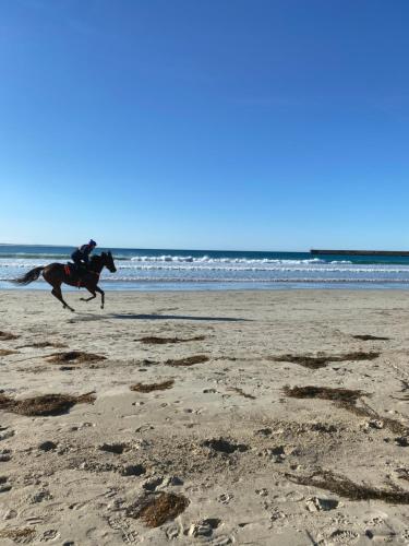 Barkly Beach House Warrnambool photo 4