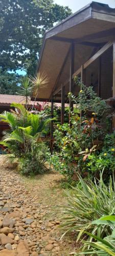 At Home - image 3