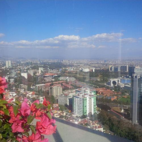 Hermoso depa. wifi, gimnasio, parking. in Mexico City, Mexico