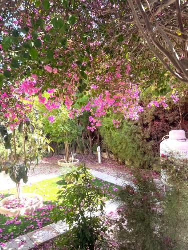 Serene Garden near sea