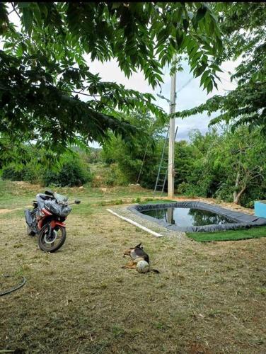 Sattva Farmstay