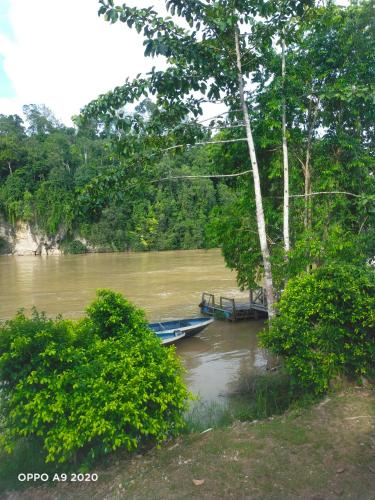 SUKAU TOMANGGONG VIEW B&B in Kota Kinabatangan