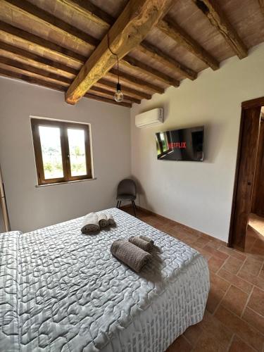  Agriturismo Iride in Bolsena