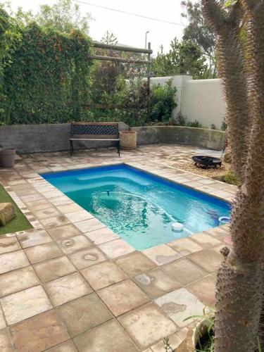 Kert, Lemon-Lime Cottage Darling in Darling