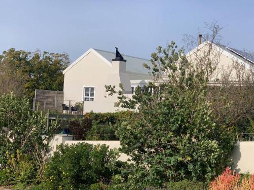 Lemon-Lime Cottage Darling in Darling