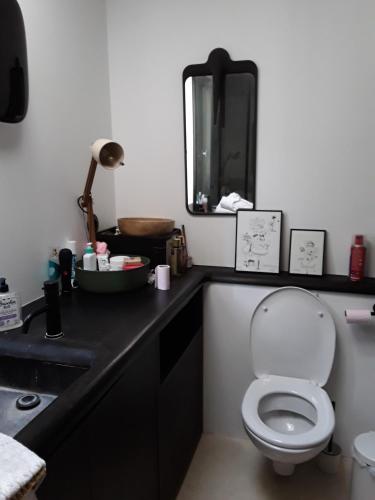 Chambre privée centre de Paris proche Marais 5