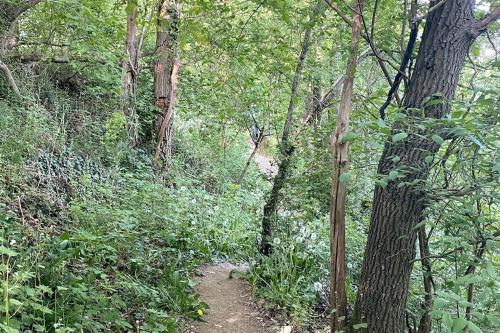 Vakantiehuisje in het bos