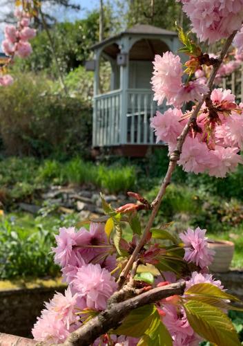 Ellen House Bed and Breakfast - image 2