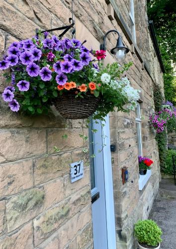 Ellen House Bed and Breakfast - Accommodation - Matlock