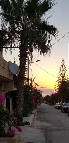 La Colline de Chott Meriem appartements photo 3