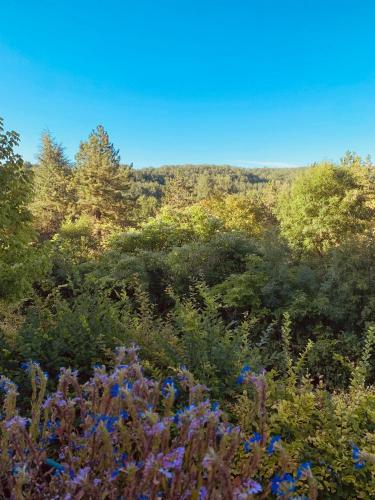 Le Domaine Sainte Raffine, piscine, charme et insolite