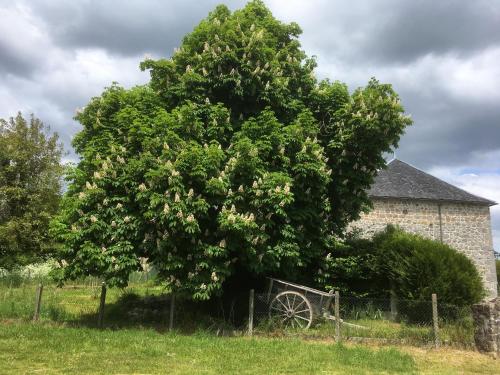 LES PIPISTRELLES 19 chambre Cantou