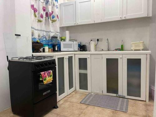 Roseau City Hub apt # 3 in Roseau