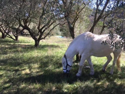 Eco-gite en Ardèche