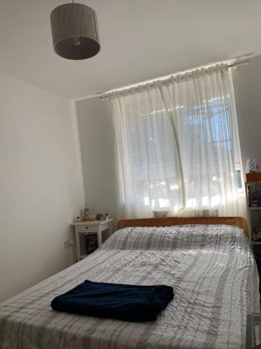 Bright and Comfortable Room Breakfast Included - Apartment - Forest Hill