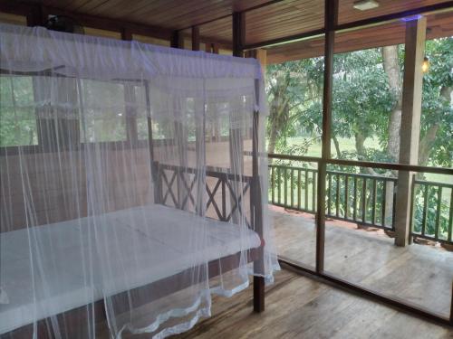 전망, 그린 허벌 아유르베딕 에코-로지 (GREEN HERBAL Ayurvedic Eco-Lodge) in 우나와투나