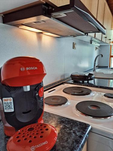 廚房, Panthea Cottage in 斯塔夫魯普利