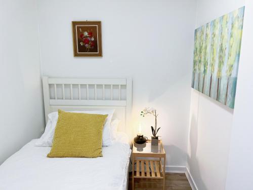 Downtown 4bd 2ba View Skytrain 2 Free Parking in Vancouver, Canada