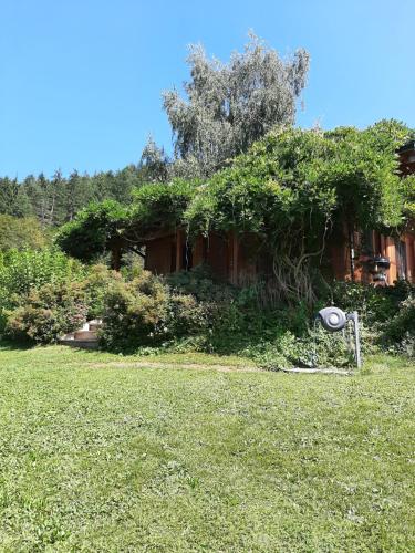 Kert, Landhaus Manjul in Volkermarkt