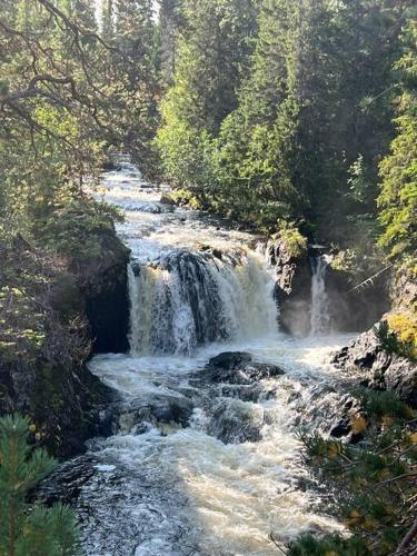 Mysig fjällstuga med direktanslutning till fjället