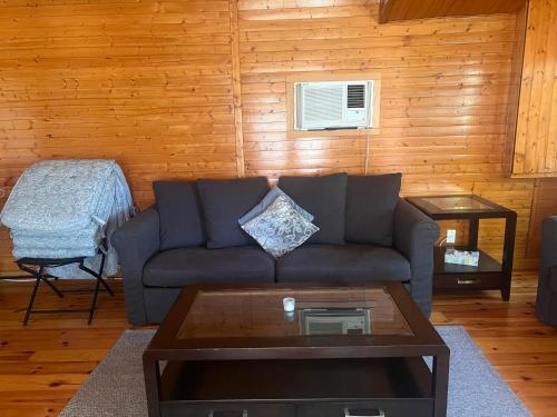 บริการและสิ่งอำนวยความสะดวก, Cottage in Crystal Beach in ฟอร์ท เอรี (ON)