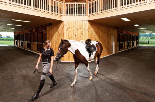 Salamander Resort and Spa - image 3