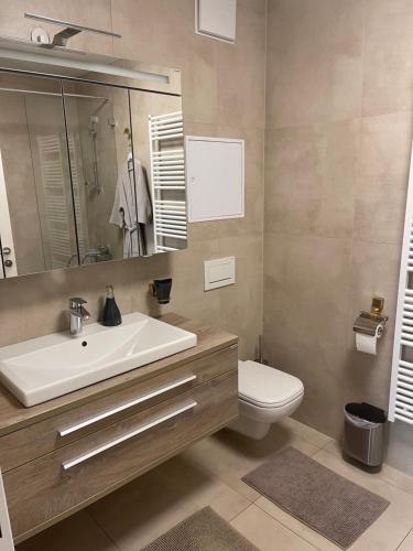 Amazing Austria Center Apartment near UNO City, Viena (foto 5)