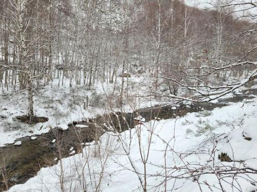 A környék, Chalet bois au coeur des Pyrénées ariégeoises (Chalet bois au coeur des Pyrenees ariegeoises) in L'Hospitalet-Pres-L'Andorre